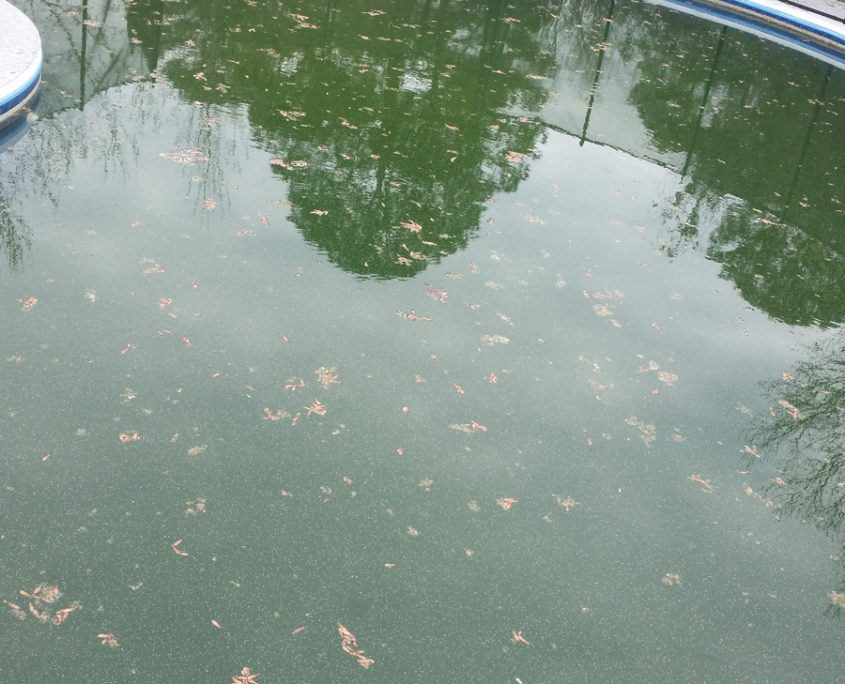 Vinyl-Pool-Recovery-Before
